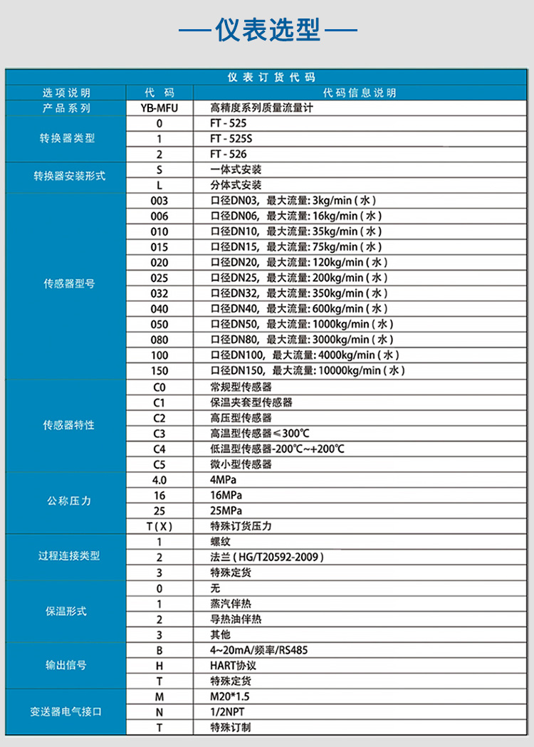 衛(wèi)生型質(zhì)量流量計(jì)選項(xiàng)表